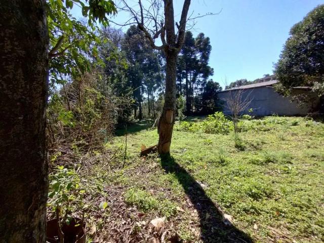 Terreno / Lote para Venda em Fernandes Pinheiro/PR Centro