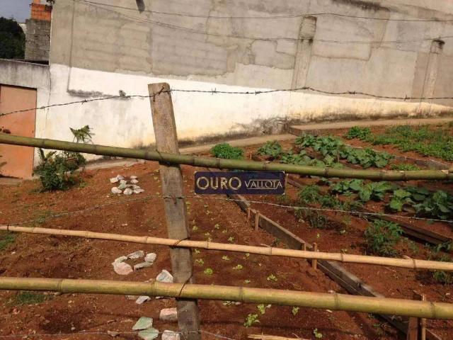 Terreno / Lote para Venda em Ferraz de Vasconcelos/SP Jardim Alice