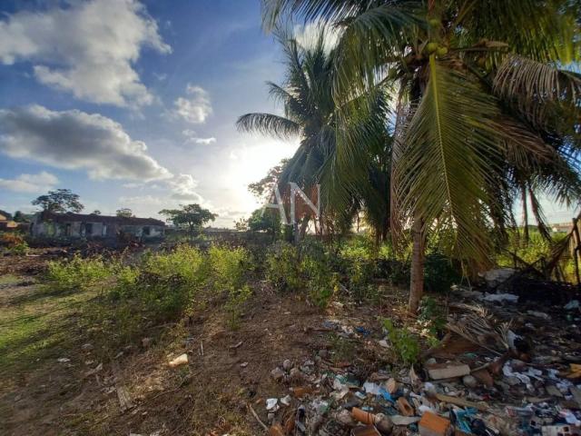 Terreno / Lote para Venda em Fortaleza/CE Ancuri