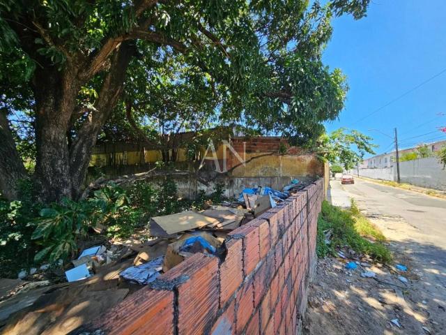 Terreno / Lote para Venda em Fortaleza/CE Cajazeiras
