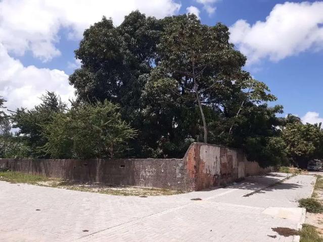 Terreno / Lote para Venda em Fortaleza/CE Engenheiro Luciano Cavalcante