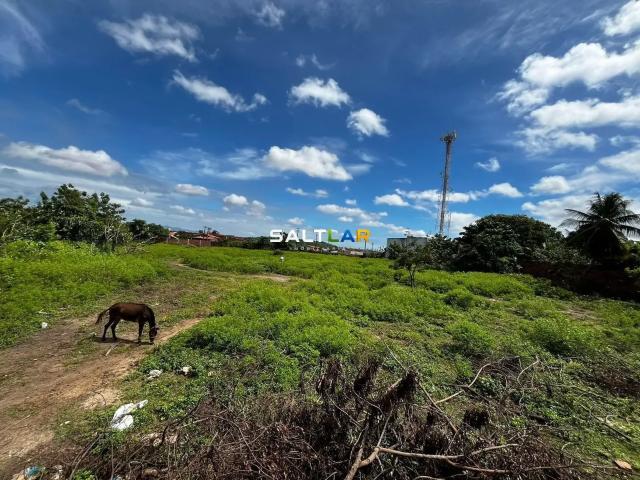 Terreno / Lote para Venda em Fortaleza/CE Jangurussu