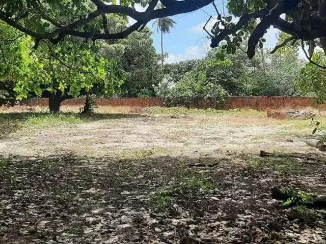 Terreno / Lote para Venda em Fortaleza/CE José de Alencar