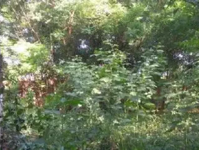 Terreno / Lote para Venda em Fortaleza/CE Lagoa Redonda