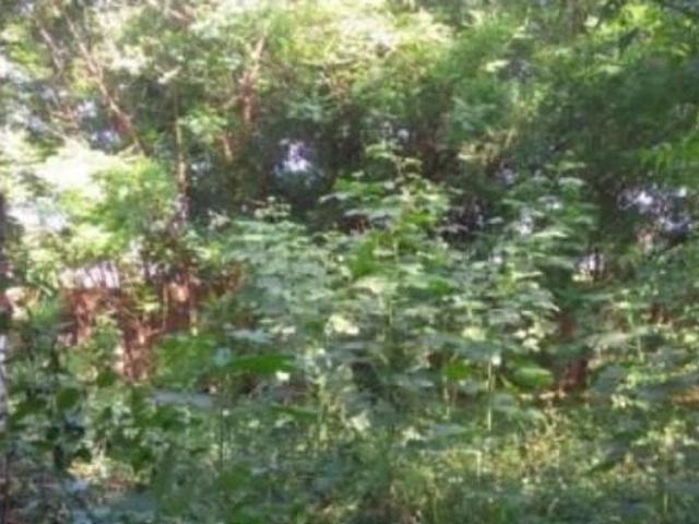 Terreno / Lote para Venda em Fortaleza/CE Lagoa Redonda