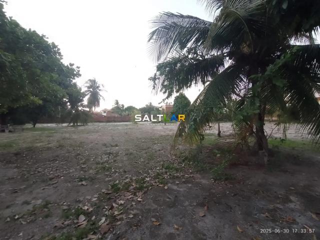 Terreno / Lote para Venda em Fortaleza/CE Lagoa Redonda