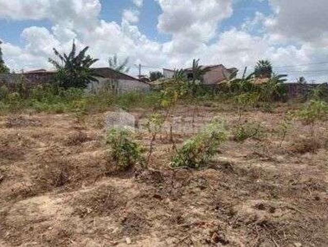 Terreno / Lote para Venda em Fortaleza/CE Parque Presidente Vargas