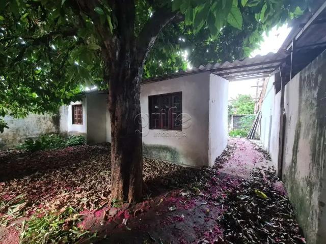 Terreno / Lote para Venda em Fortaleza/CE Prefeito José Walter