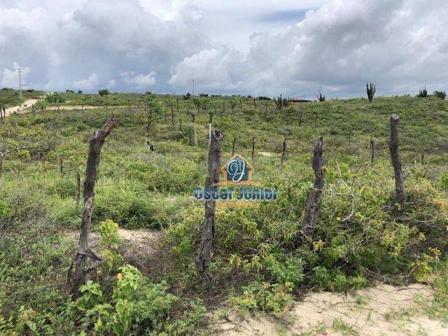Terreno / Lote para Venda em Fortim/CE Maceió