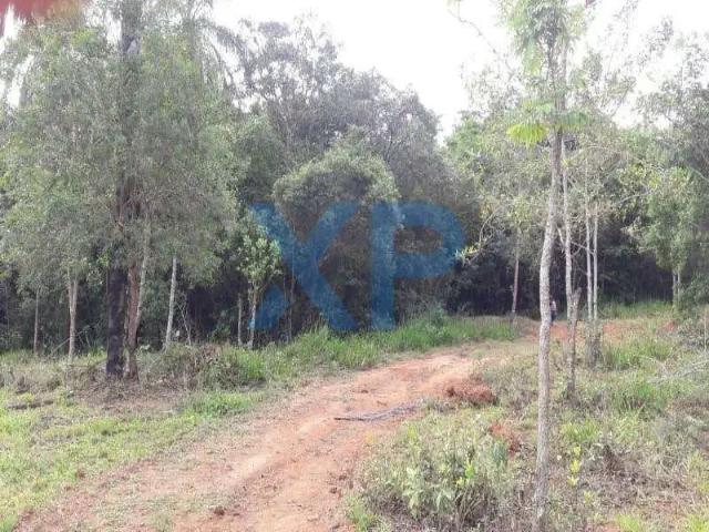 Terreno / Lote para Venda em Formiga/MG São Pedro