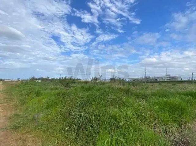 Terreno / Lote para Venda em Forquilhinha/SC Santa Cruz