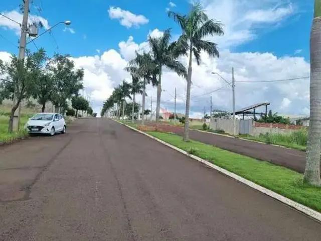 Terreno / Lote para Venda em Floresta/PR Jardim Nova Floresta