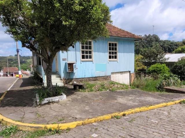 Terreno / Lote para Venda em Flores da Cunha/RS Zona Rural