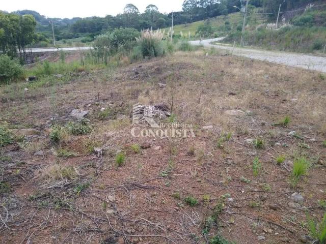 Terreno / Lote para Venda em Flores da Cunha/RS Centro