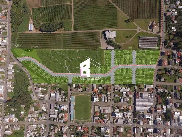 Terreno / Lote para Venda em Flores da Cunha/RS Centro