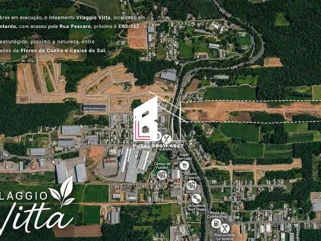 Terreno / Lote para Venda em Flores da Cunha/RS São Gotardo Distrito
