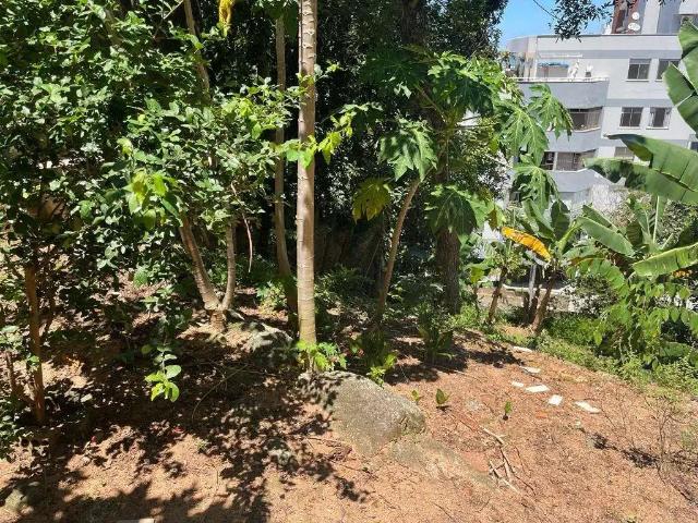 Terreno / Lote para Venda em Florianópolis/SC Coqueiros