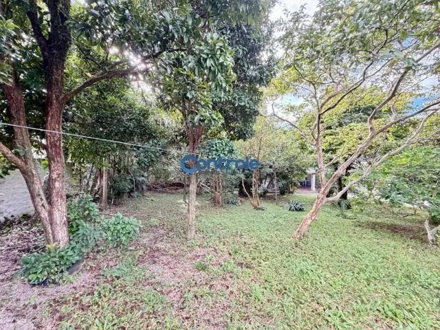 Terreno / Lote para Venda em Florianópolis/SC Coqueiros