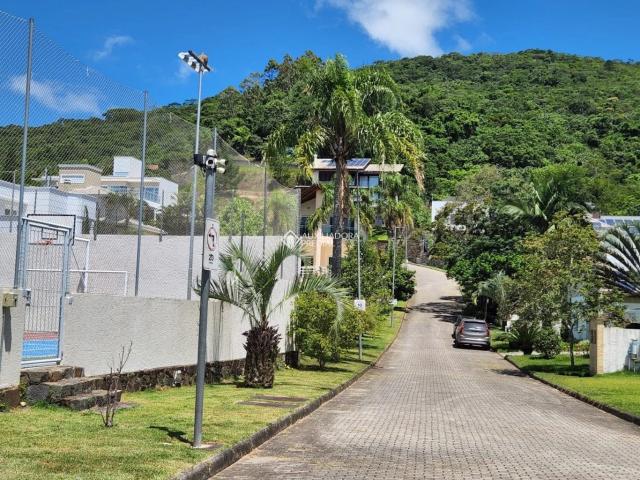 Terreno / Lote para Venda em Florianópolis/SC Córrego Grande
