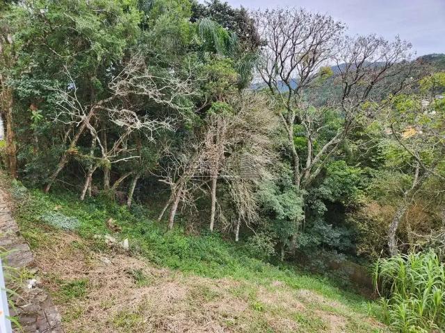 Terreno / Lote para Venda em Florianópolis/SC Córrego Grande