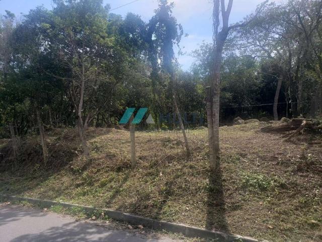 Terreno / Lote para Venda em Florianópolis/SC Córrego Grande