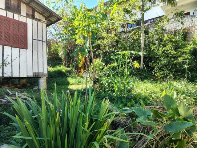 Terreno / Lote para Venda em Florianópolis/SC Córrego Grande