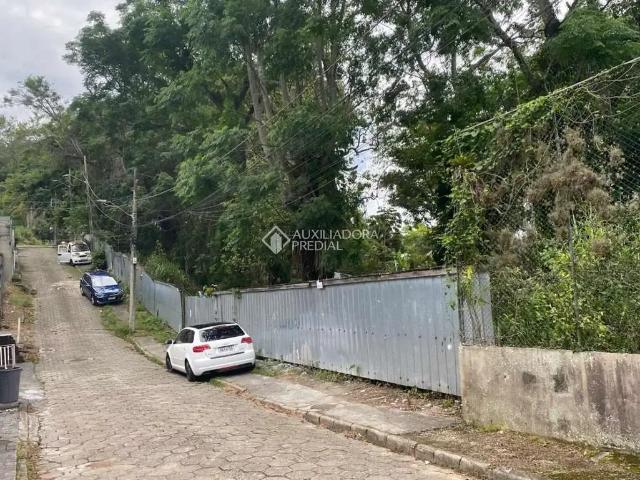 Terreno / Lote para Venda em Florianópolis/SC Córrego Grande