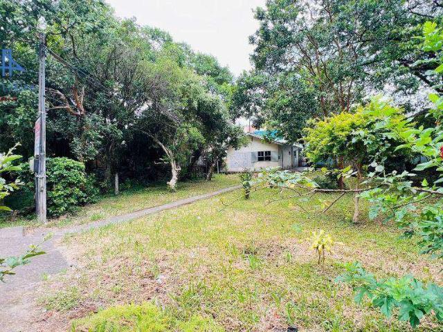 Terreno / Lote para Venda em Florianópolis/SC Córrego Grande