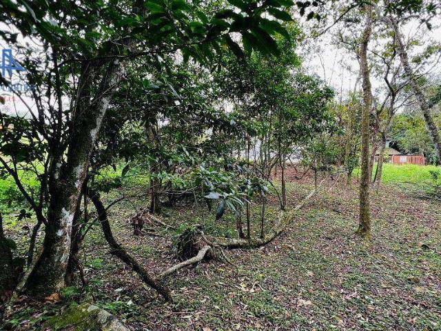 Terreno / Lote para Venda em Florianópolis/SC Córrego Grande
