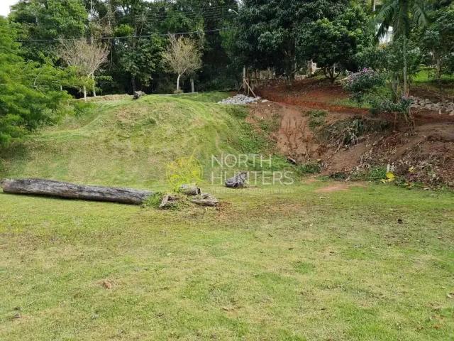 Terreno / Lote para Venda em Florianópolis/SC Córrego Grande