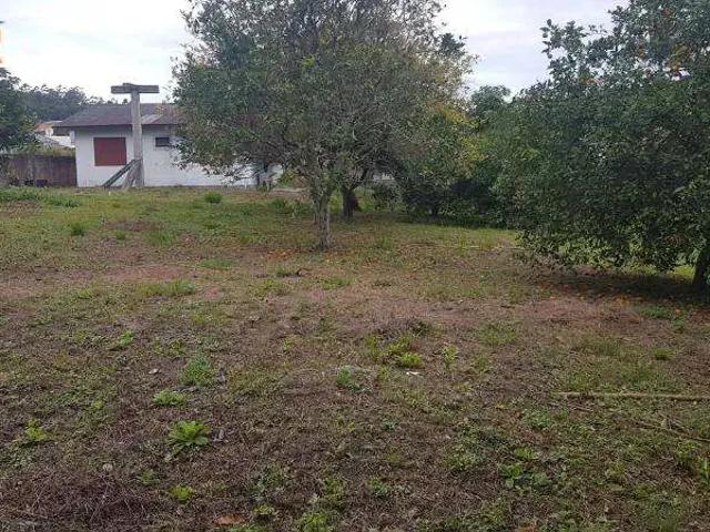Terreno / Lote para Venda em Florianópolis/SC Cachoeira do Bom Jesus