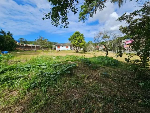 Terreno / Lote para Venda em Florianópolis/SC Cachoeira do Bom Jesus