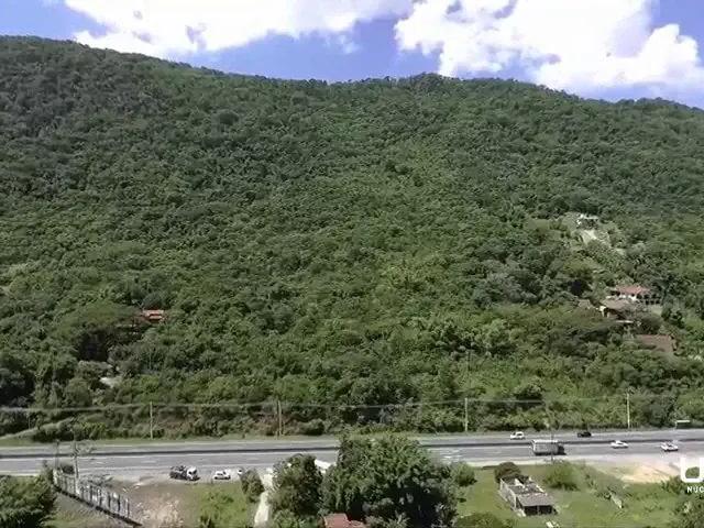 Terreno / Lote para Venda em Florianópolis/SC Cacupé