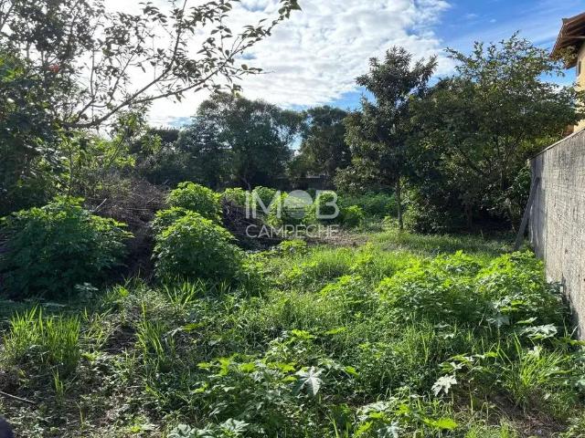 Terreno / Lote para Venda em Florianópolis/SC Campeche