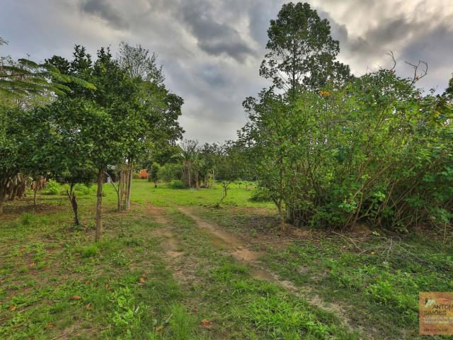 Terreno / Lote para Venda em Florianópolis/SC Campeche