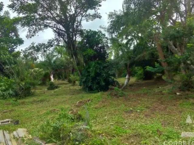 Terreno / Lote para Venda em Florianópolis/SC Campeche