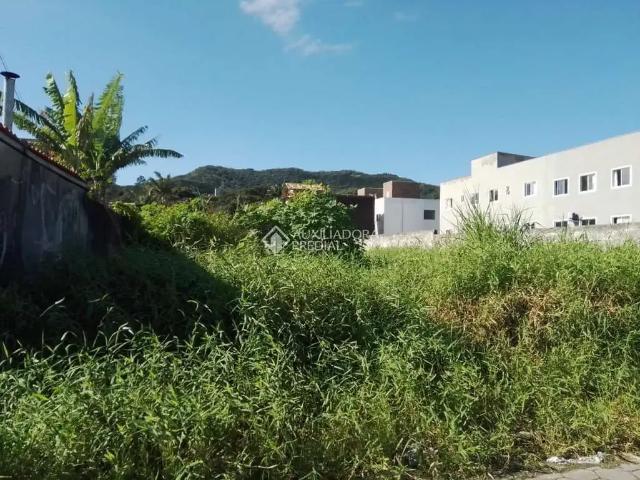 Terreno / Lote para Venda em Florianópolis/SC Campeche