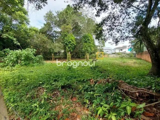 Terreno / Lote para Venda em Florianópolis/SC Campeche