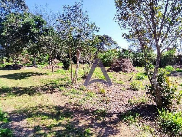 Terreno / Lote para Venda em Florianópolis/SC Campeche