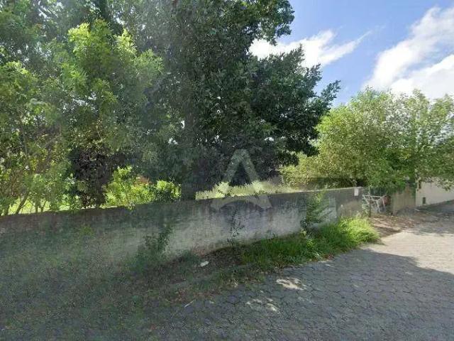Terreno / Lote para Venda em Florianópolis/SC Campeche