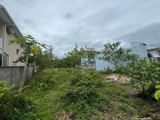 Terreno / Lote para Venda em Florianópolis/SC Canasvieiras