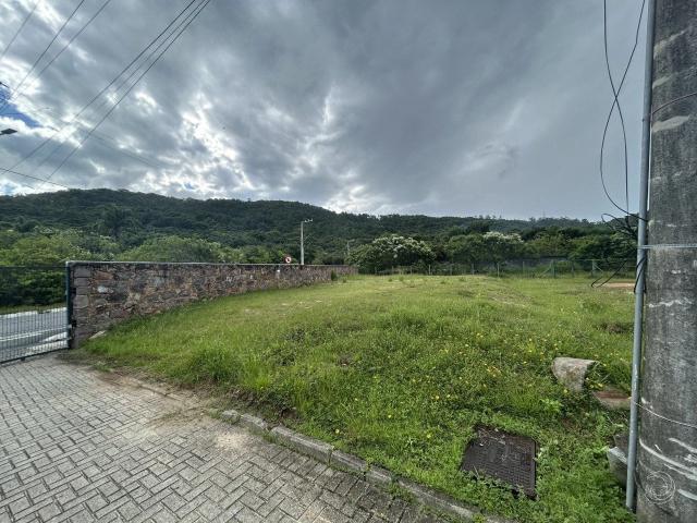 Terreno / Lote para Venda em Florianópolis/SC Canasvieiras