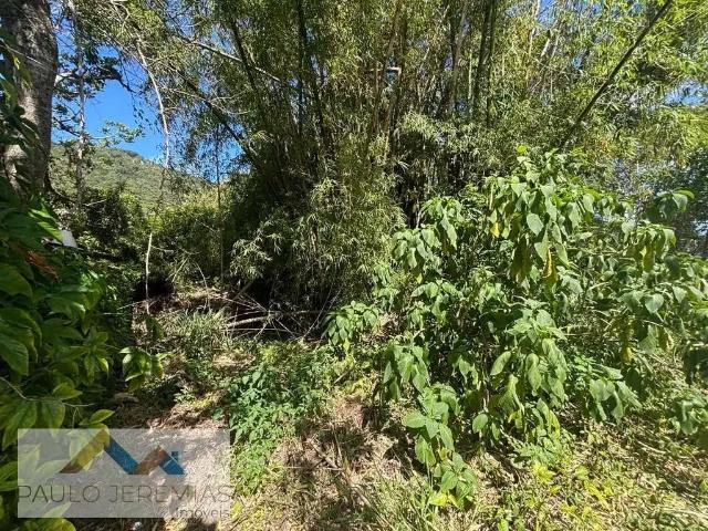 Terreno / Lote para Venda em Florianópolis/SC Canasvieiras