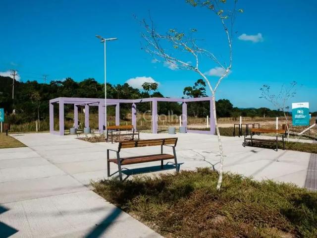Terreno / Lote para Venda em Florianópolis/SC Canasvieiras