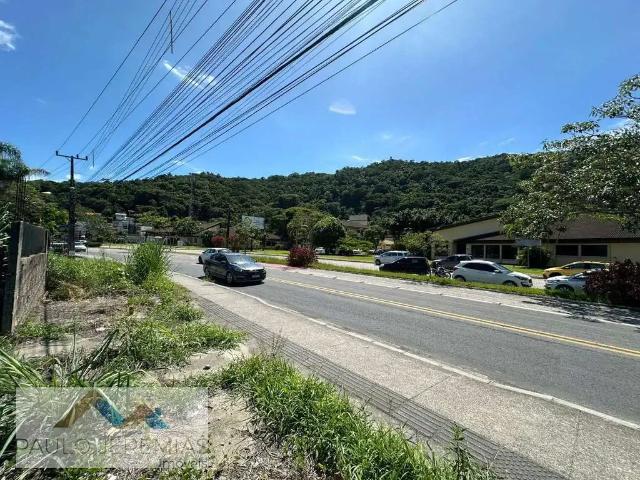 Terreno / Lote para Venda em Florianópolis/SC Ponta das Canas
