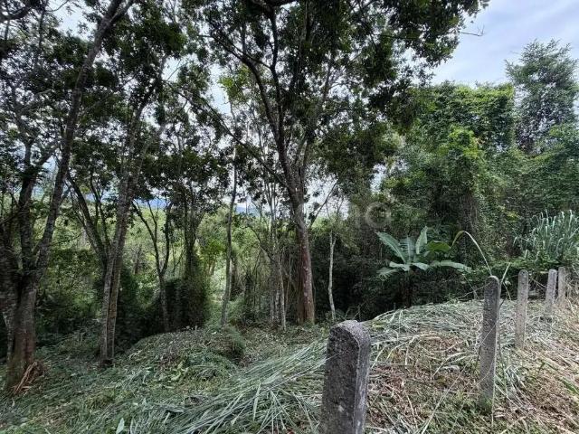 Terreno / Lote para Venda em Florianópolis/SC Canasvieiras