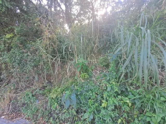 Terreno / Lote para Venda em Florianópolis/SC Lagoa da Conceição