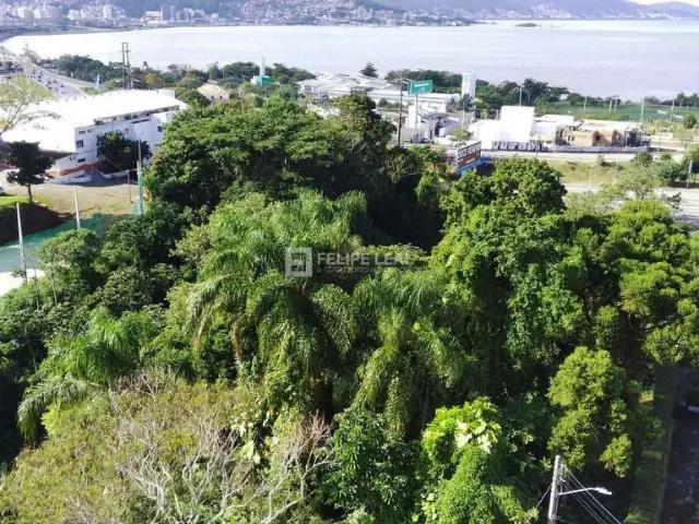 Terreno / Lote para Venda em Florianópolis/SC Capoeiras