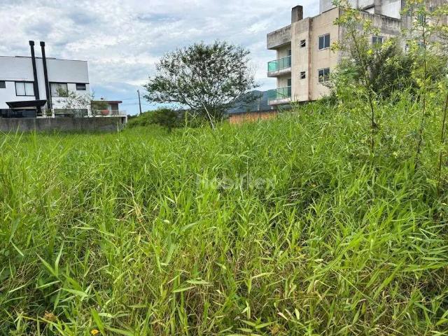 Terreno / Lote para Venda em Florianópolis/SC Carianos