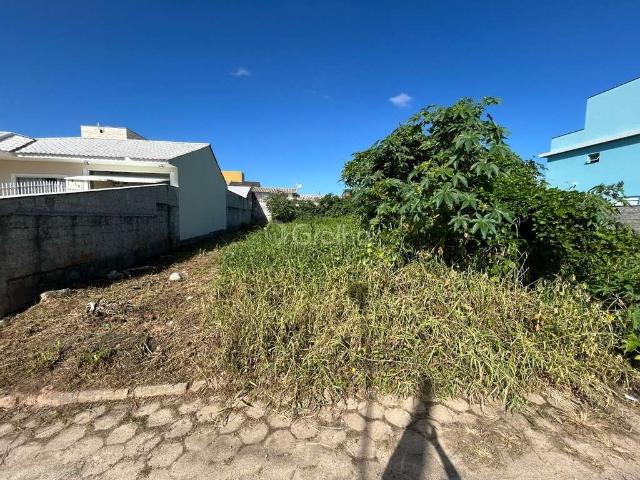 Terreno / Lote para Venda em Florianópolis/SC Carianos